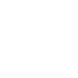 Self Assessment Icon